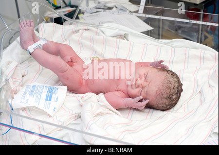 Hispanische Neugeborenen jungen unmittelbar nach der Geburt über Ceserean (Kaiserschnitt). Baby ist Modell veröffentlicht. Stockfoto