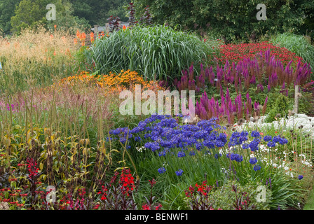 Agapanthus Lobelia Helenium Monarda Gräser RHS [Harlow Carr] Gärten Harrogate Stockfoto