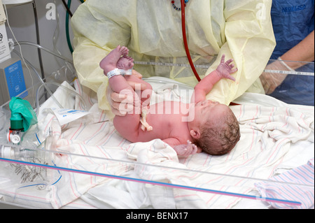 Neugeborenen hispanische jungen sofort nach Lieferung per Ceserean (Kaiserschnitt). Baby ist Modell veröffentlicht. Stockfoto