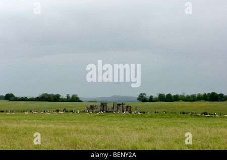 Fernblick über Stonehenge, Besucher und Schafe auf Salisbury Plain, Wiltshire. Stockfoto