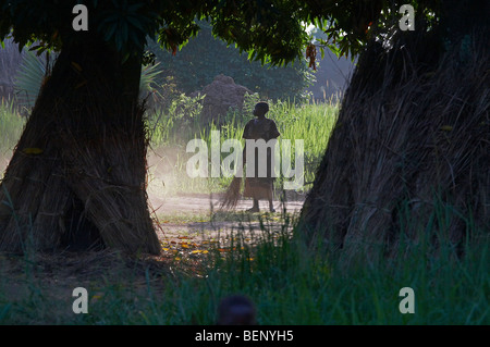 SOUTH SUDAN frühen Morgen Szene auf einem landwirtschaftlichen Gehöft YEI. Frau, die ihren Hof zu fegen. Foto: SEAN SPRAGUE 2008 Stockfoto