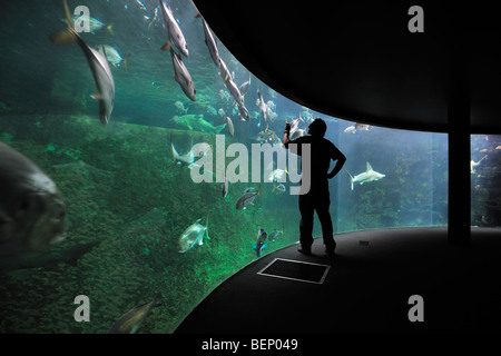 Touristen auf der Suche auf das Nausicaä Sea Aquarium mit tropischen Fischen, Boulogne-sur-Mer, Pas-de-Calais, Frankreich Stockfoto