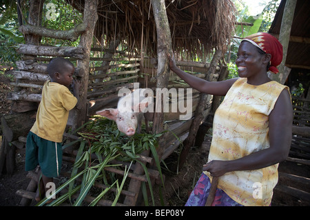 UGANDA In die Heimat der Bauer Najjemba Teopista, Kasaayi Dorf, Kayunga Bezirk. Fütterung der Schweine. Foto: SEAN SPRAGUE Stockfoto