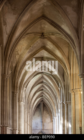 Eine der Süden Gänge in der St. Alban Kathedrale, wunderbar gewölbte und symmetrisch. Stockfoto