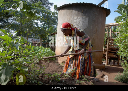 UGANDA In die Heimat Najjemba Teopista, Bauer von Kasaayi Dorf, Kayunga Bezirk. Teopista Garten zu kultivieren. Stockfoto