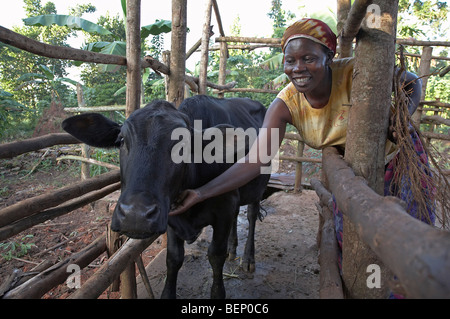 UGANDA In die Heimat der Bauer Najjemba Teopista, Kasaayi Dorf, Kayunga Bezirk. Teopista streichelte ihre Kuh. Stockfoto