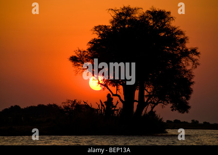 Sonnenuntergang über den Chobe Fluss. Chobe Nationalpark, Botswana, Afrika. Stockfoto