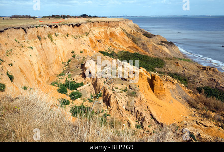 Rasche Küstenerosion, Walton auf ganz blöd, Essex, England Stockfoto