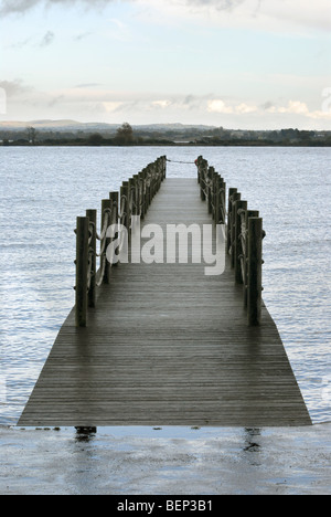Oxford Island Nature Reserve, Lough Neagh, Grafschaft Armagh, Nordirland, Vereinigtes Königreich. Stockfoto