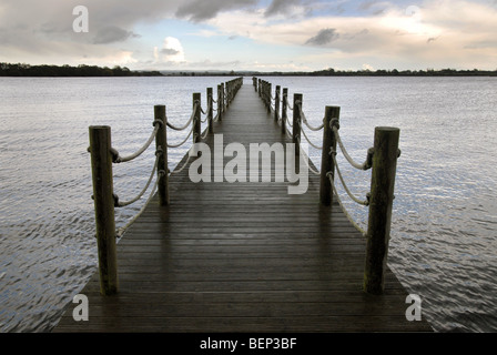 Oxford Island Nature Reserve, Lough Neagh, Grafschaft Armagh, Nordirland, Vereinigtes Königreich. Stockfoto