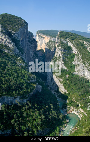 Die Verdon-Schlucht / Gorges du Verdon gesehen von Point Sublime, Alpes-de-Haute-Provence, Provence, Frankreich Stockfoto