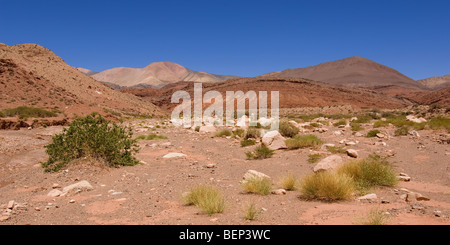 Reserva Provincial Las Vicu als und der Laguna Brava, hohen Anden, der Provinz La Rioja, Argentinien Stockfoto