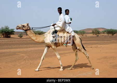 Zwei nubische jungen gekleidet in Thawb Dromedar Kamel (Camelus Dromedarius) Reiten in der nubischen Wüste des Sudan, Nordafrika Stockfoto