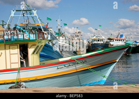 Bunte Fischerboote im Hafen von Tripolis, Libyen, Nordafrika Stockfoto