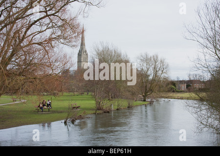 Fluss Avon, Salisbury, Wiltshire UK. Stockfoto