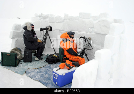 Fotografen auf Schnee Blind, in der Hoffnung, Foto Eisbären im Wapusk National Park in Manitoba, Kanada Stockfoto