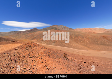 Reserva Provincial Las Vicu als und der Laguna Brava, hohen Anden, der Provinz La Rioja, Argentinien Stockfoto