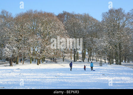 langhaarige Katze im Schnee Stockfoto
