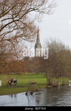 Fluss Avon, Salisbury, Wiltshire UK. Stockfoto