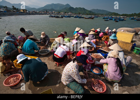 Dorfbewohner reinigen Sie am morgens Fisch fangen und bereitet sie für den Markt in Nha Trang, Vietnam. Stockfoto