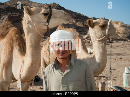 Ein Beduine mit Kamelen in der Wüste in Ägypten Stockfoto