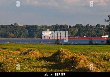 Frachtschiff auf dem St. Lawrence River-Region von Quebec Kanada navigieren Stockfoto