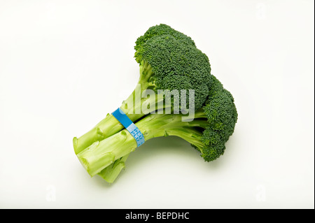 Frischer Brokkoli aus dem Markt. Stockfoto