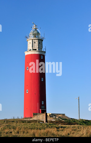 Der rote Cocksdorp Leuchtturm Eierland in den Dünen auf der Insel Texel, Niederlande Stockfoto