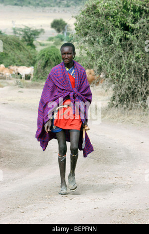 Porträt von Maasai / Masai Mann posiert mit Speer in Kenia, Ostafrika Stockfoto