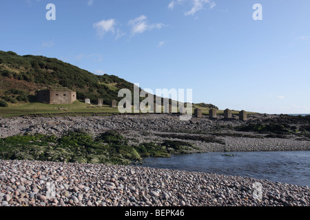 Zweiten Weltkrieg Küstenschutz in der Nähe von Inverbervie Aberdeenshire, Schottland Oktober 2009 Stockfoto