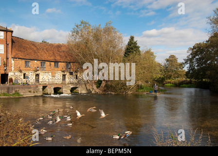 Enten im Flug in der Nähe von einem Fischer ein Herbstmorgen Fischerei in den Mühlenteich auf den Strandwiesen in Salisbury Stockfoto