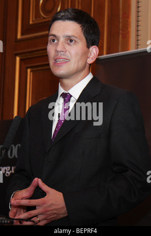 David Miliband Stockfoto