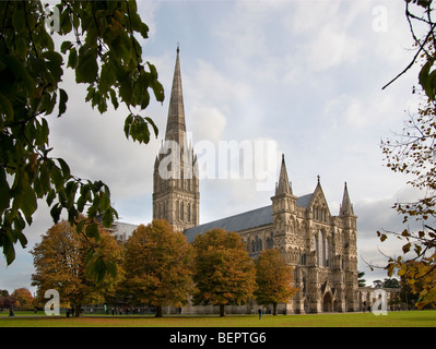 Kathedrale von Salisbury und die enge im Herbst Stockfoto