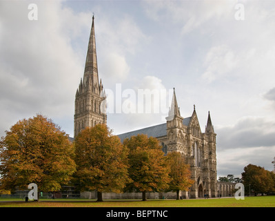 Kathedrale von Salisbury und die enge im Herbst Stockfoto