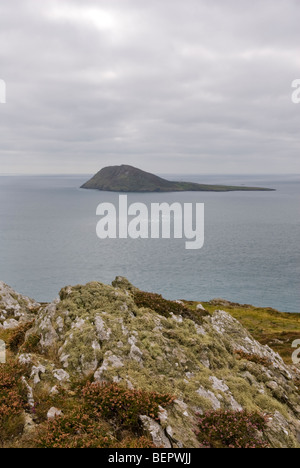 Blick auf Bardsey Island vom Braich-Y-Pwll, Llyn Halbinsel, Wales. Stockfoto