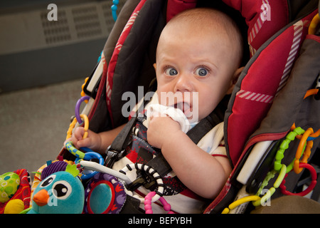 Sechs Monate alten Jungen in einen Kinderwagen Stockfoto