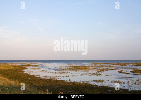 RSPB Freiston Shore Naturschutzgebiet, The Wash, Lincolnshire, England. Stockfoto