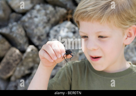 Ein kleiner Junge hält einen Käfer Stockfoto