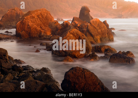 Blick auf Strand, Surf und Felsformationen, einsame Ranch Beach, Oregon Coast, Brookings, Oregon, USA Stockfoto