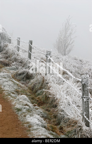 Eine schwere Raureif auf den Hügeln von Malvern, Worcestershire, UK. Stockfoto