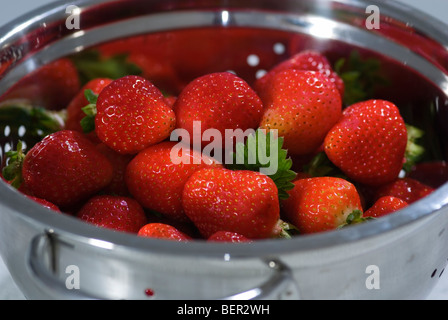 Erdbeeren in einem Sieb aus rostfreiem Stahl Stockfoto
