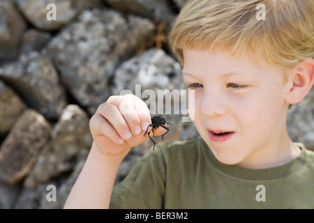 Ein Kopfschuss eines jungen mit einem Käfer Stockfoto