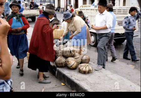 Zucker-Verkäufer.  Großen abgeflachten Fußball Größe Kuchen von Rohzucker in Blätter eingewickelt.  Ecuador Hochland lokalen Markt. Stockfoto