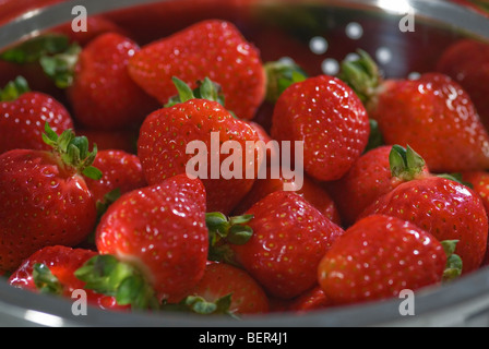 Erdbeeren in einem Sieb aus rostfreiem Stahl Stockfoto