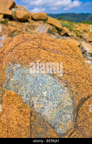 Felsen und dem Erdmantel gesehen auf dem Tablelands Trail im Tablelands, Gros Morne National Park, UNESCO-Weltkulturerbe Stockfoto