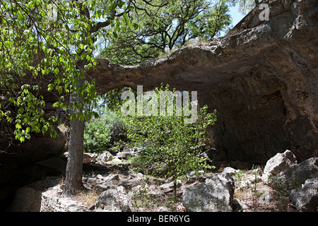 Die Brücke bei Natural Bridges Texas USA Stockfoto