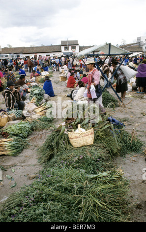 Großen Bündel von grünen Pflanzenmaterial in ecuadorianischen Hochland lokalen Markt verkauft. Stockfoto