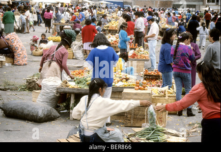 Linie von pflanzlichen Verkäufer im lokalen Markt Hochland Ecuadors Stockfoto