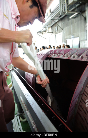 Herstellung von Wein am Chateau Mercian Katsunuma, Yamanashi-Präfektur, Japan, 12. Oktober 2009. Stockfoto