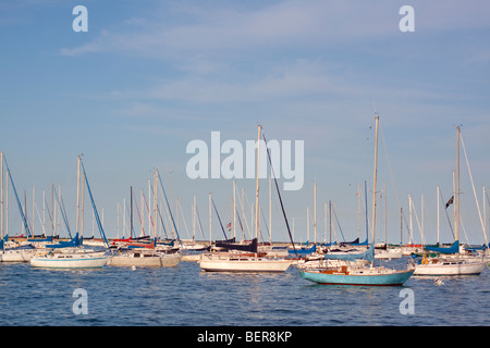 Schaukeln in den kleinen Wellen in Burnham Harbor an Chicagos Lake Michigan Uferpromenade, Sonnen Segelboote in der Sommersonne. Stockfoto